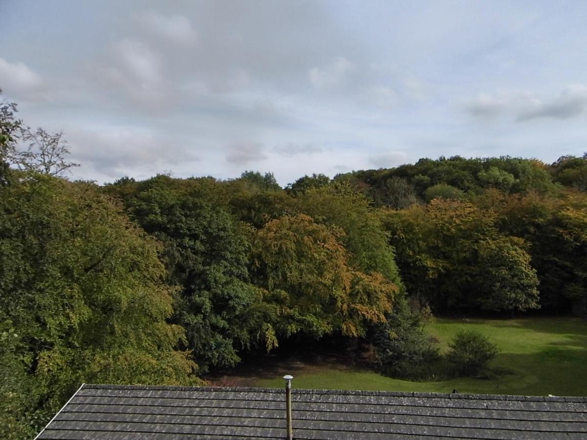 The Mill At Glynhir Bed & Breakfast Ammanford Exterior photo